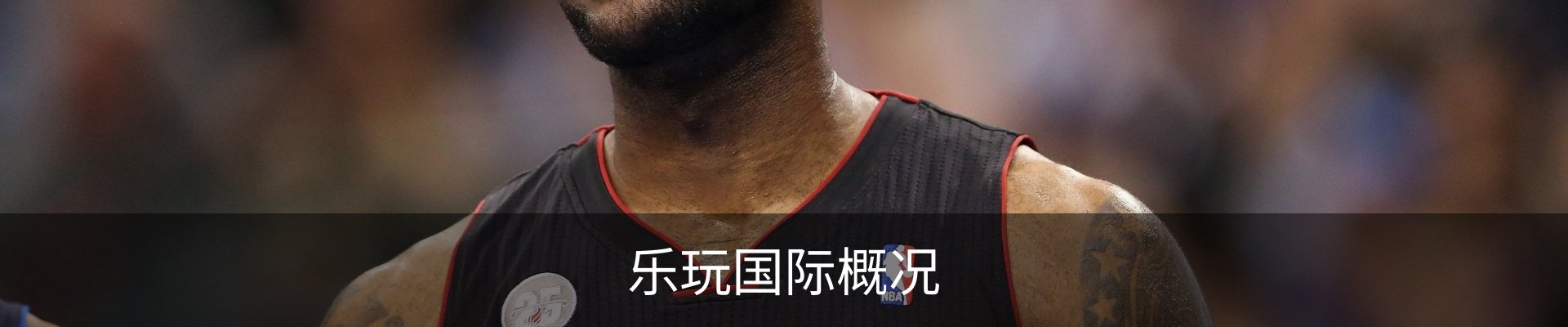 乐玩国际概况